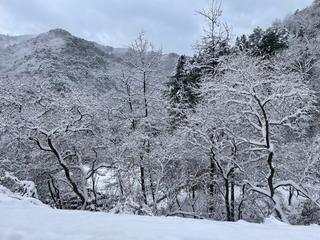 영월에 살아요_설국이었다