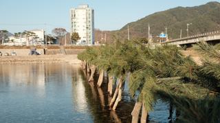 영월에 살아요_얼지 않은 12월