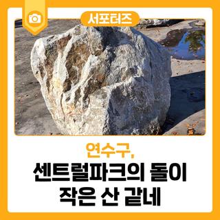 센트럴파크의 돌이 작은 산 같네