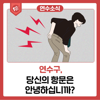 당신의 항문은 안녕하십니까?