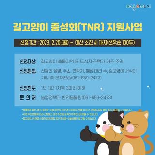 [접수 마감]여수시 길고양이 중성화 지원 사업 신청방법 알려드립니다!