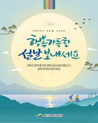 행복 가득한 설날 보내세요♥️