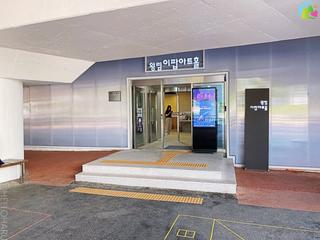 예술이 팝팝 데이, 이상한 나라의 엘리스 관람기