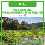 자연과 농업의 만남, 옥천 농심테마공원에서 즐기는 특별한 체험