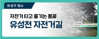 대전 유성구 데이트코스, 자전거 타고 즐기는 유성 봄꽃 명소 '유성천 자전거길'