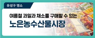 대전 유성구 가볼 만한 곳, 여름철 과일과 싱싱한 채소를 구매할 수 있는 '노은농수산물시장'