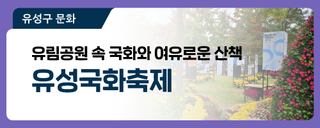 대전 유성구 축제, 유림공원 속 국화와 여유로운 산책 '2024 유성국화축제'