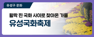대전 유성구 축제, 활짝 핀 국화 사이로 찾아온 가을 '유성국화축제'