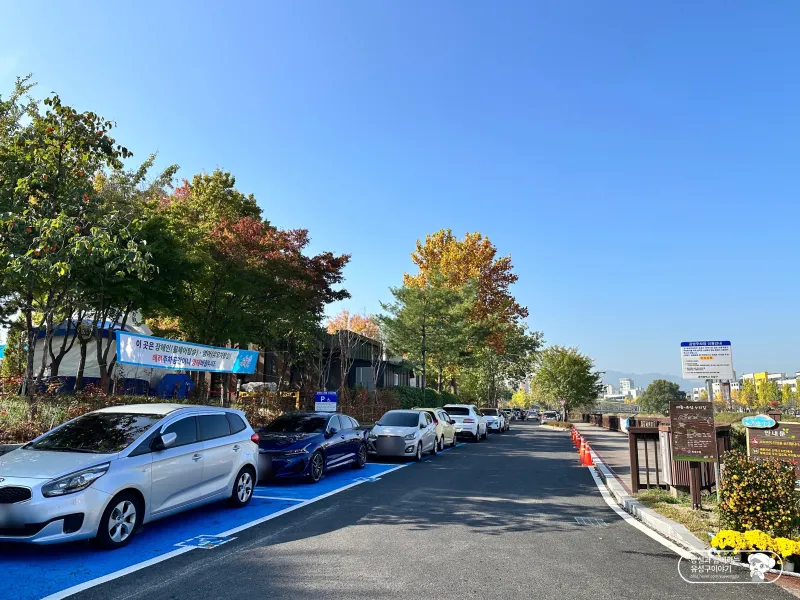 유성국화축제 주차장 지도