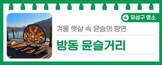 대전 유성구 명소, 겨울 햇살 속 윤슬의 향연 '방동 윤슬거리'