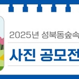 대전 유성구 공모전, 자연과 함께하는 소중한 순간을 사진으로 담아보세요! '2025년 성북동숲속야영장 사진 공모전'