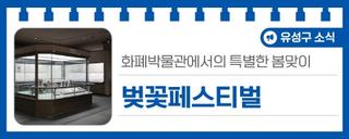 대전 유성구 소식, 화폐박물관에서의 특별한 봄맞이 '벚꽃페스티벌'