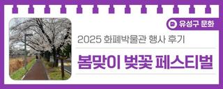 대전 유성구 행사, 2025 화폐박물관 '봄맞이 벚꽃 페스티벌' 후기