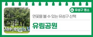 연꽃을 볼 수 있는 유성구 산책 '유림공원'