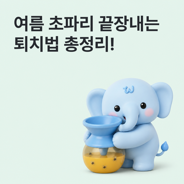 피드 이미지 1