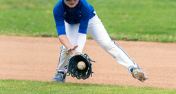 당진시 고향사랑기부제 초등학교 야구부 초청대회