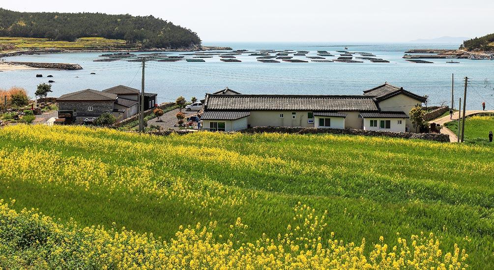 (제주) 폭싹 속았수다! 열심히 일한 청년, 제주에서 한 달 살게 마씸!