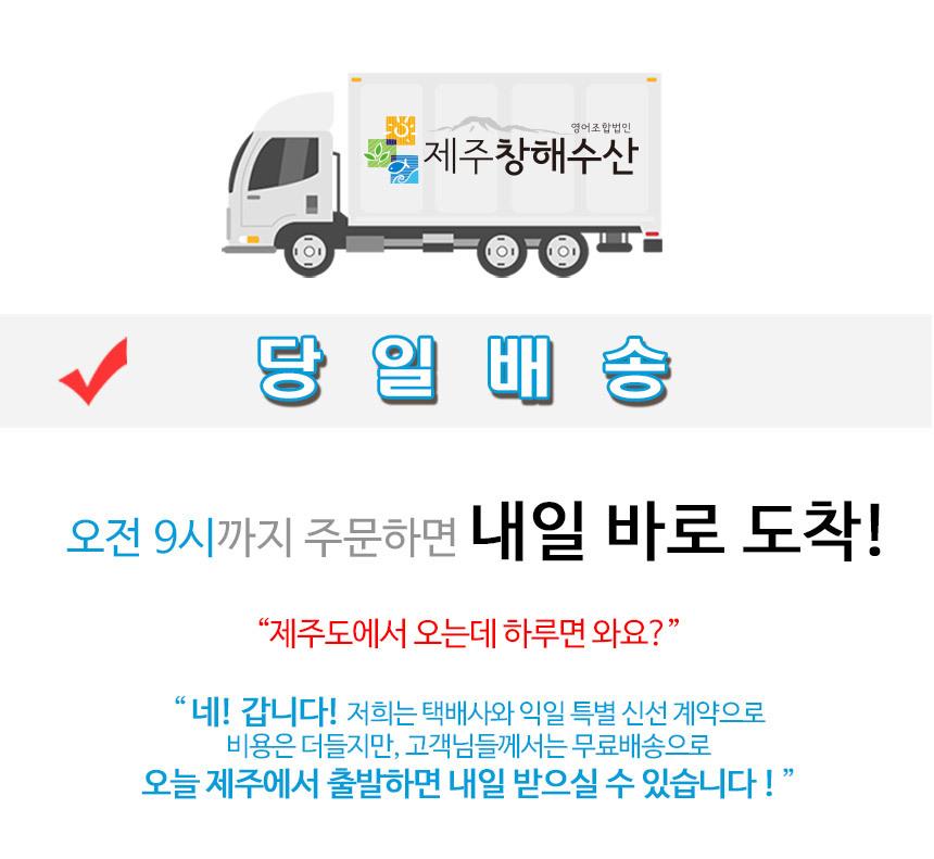 제주 명품 은갈치 선물세트1