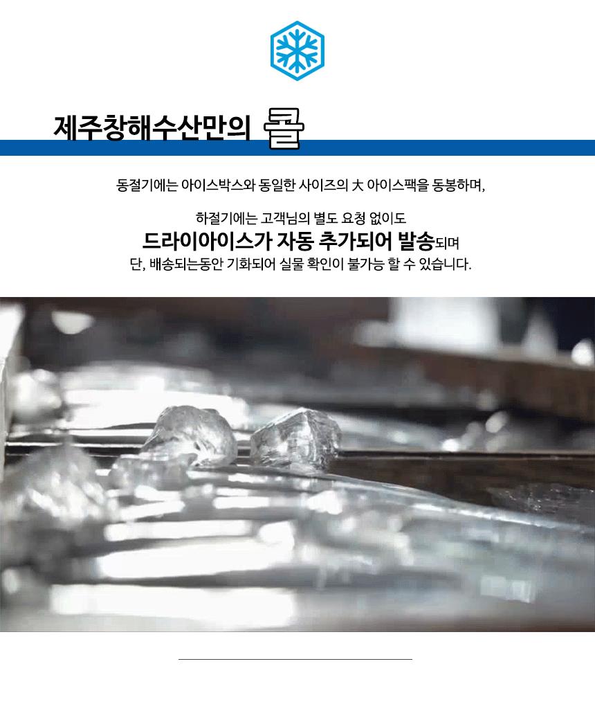제주 명품 은갈치 선물세트10
