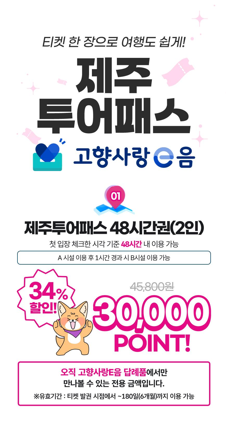 제주여행 자유이용권 제주투어패스 48시간권 * 2인(모바일 발권)5