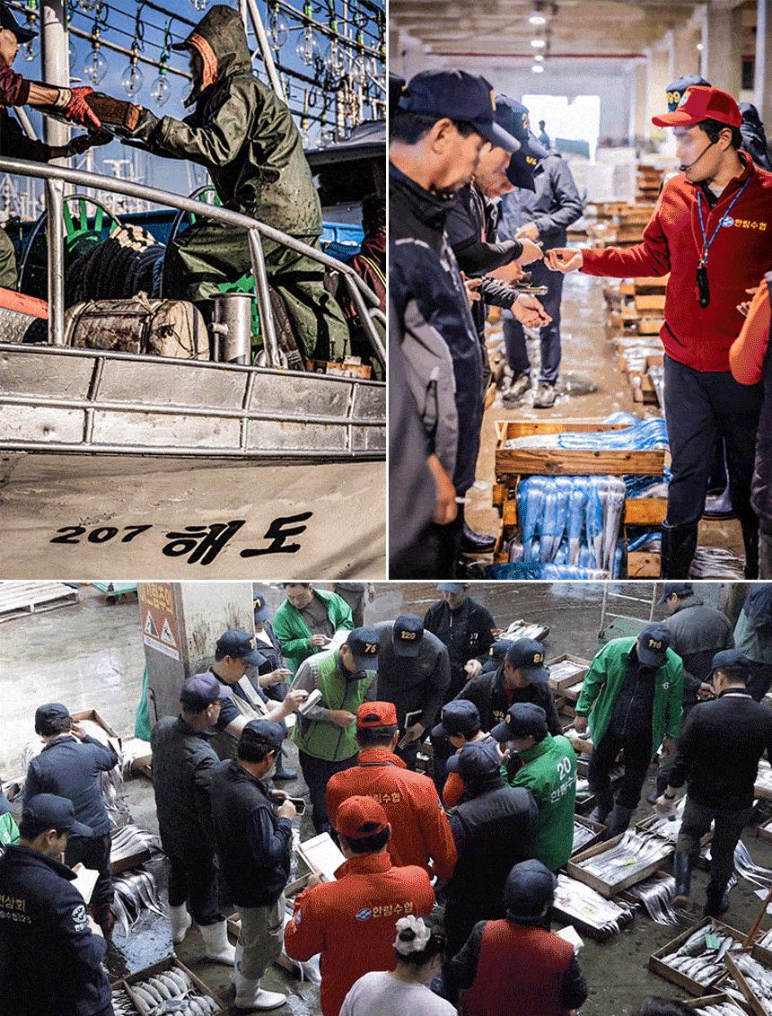 제주 명품 은갈치 선물세트12