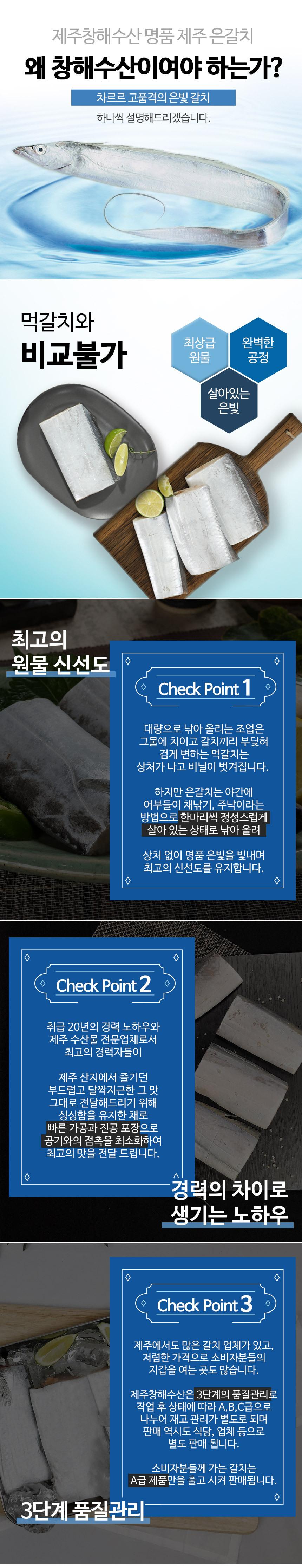 제주 명품 은갈치 선물세트7