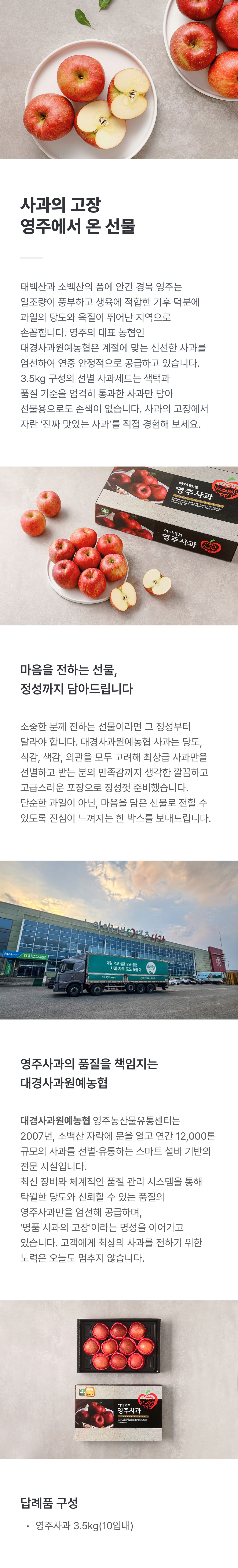 대경사과원예농협 영주사과 3.5kg 선물세트 (10입내)