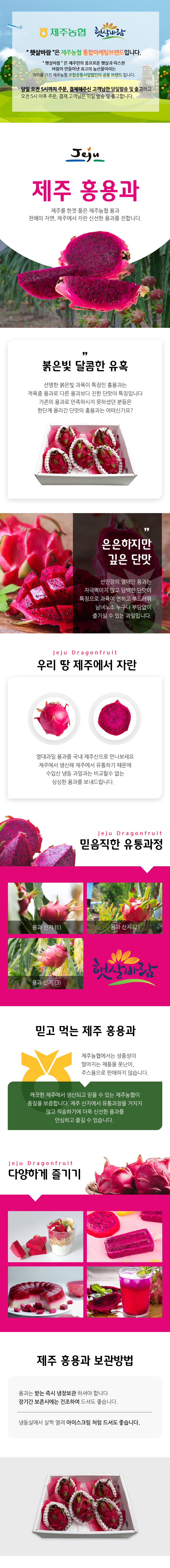 제주 홍용과 2kg