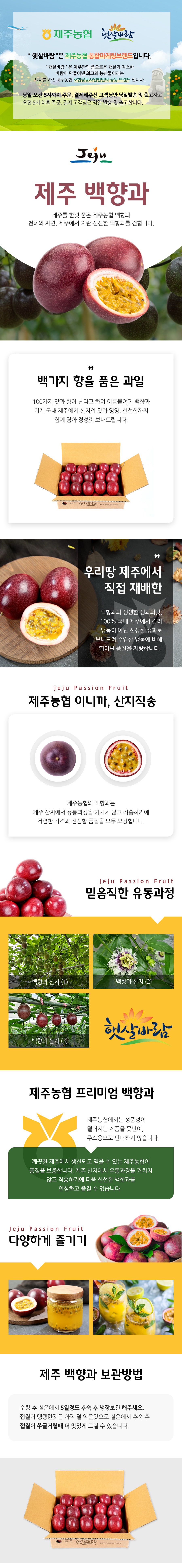 제주 백향과 3kg