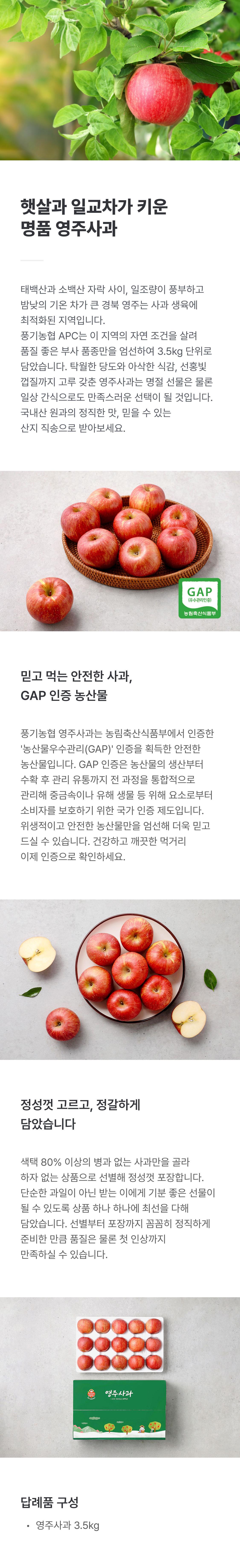 풍기농협 영주사과 3.5kg