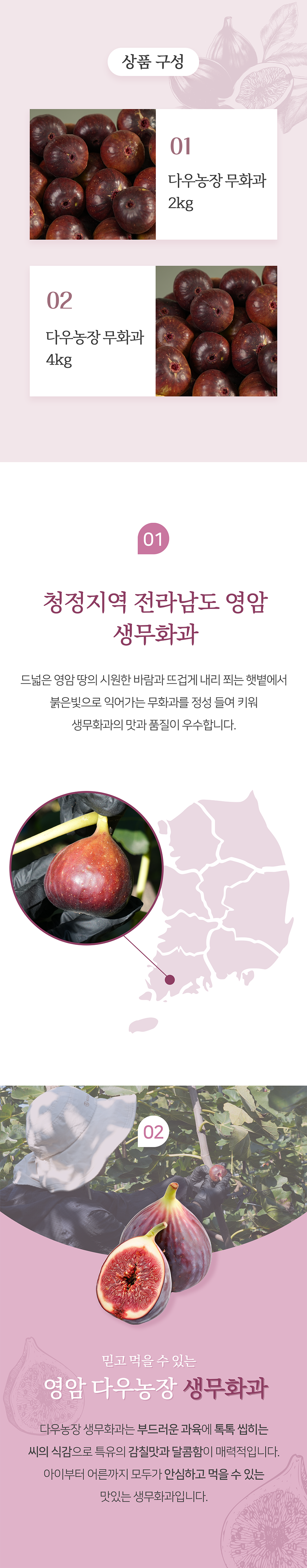 다우농장 홍무화과 2/4kg - 2