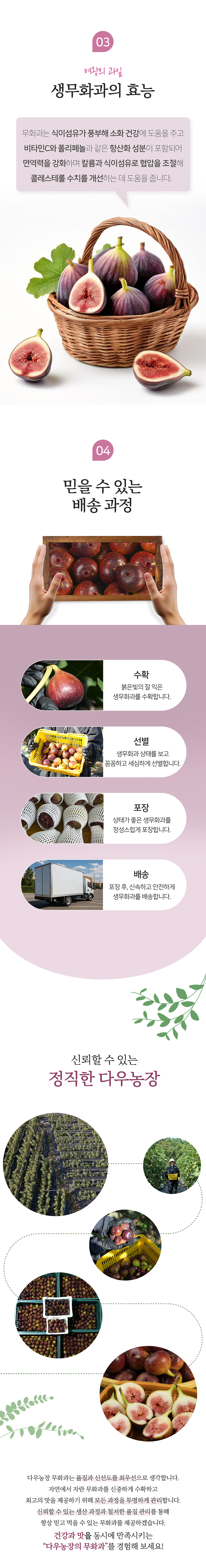 다우농장 홍무화과 2/4kg - 3