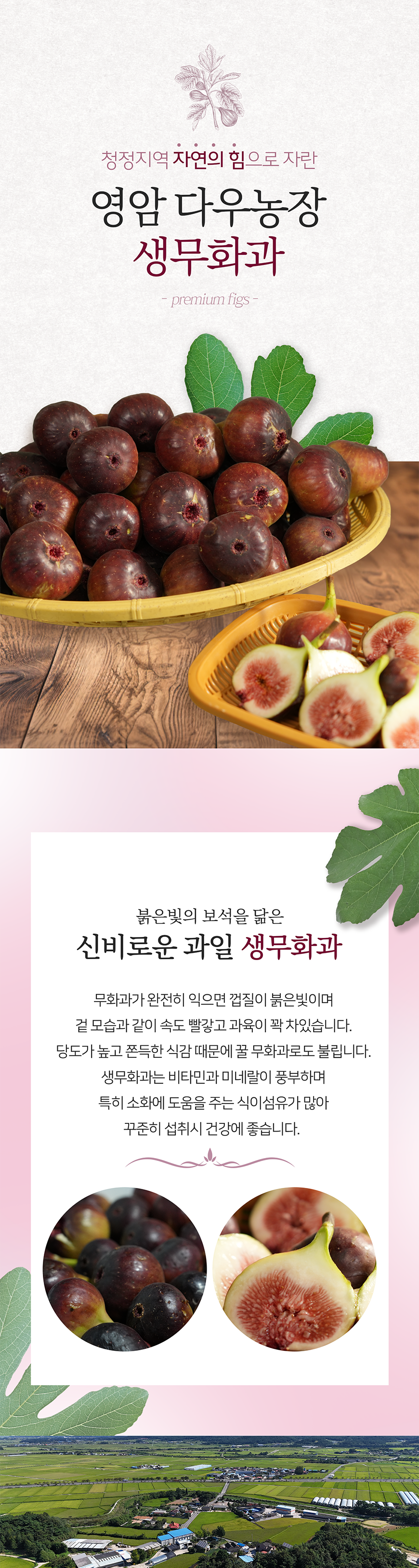 다우농장 홍무화과 2/4kg - 1