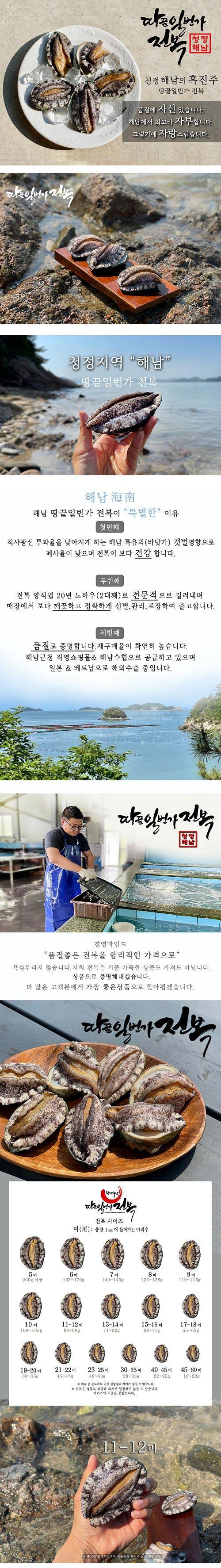 땅끝일번가전복 활전복 18미 - 1