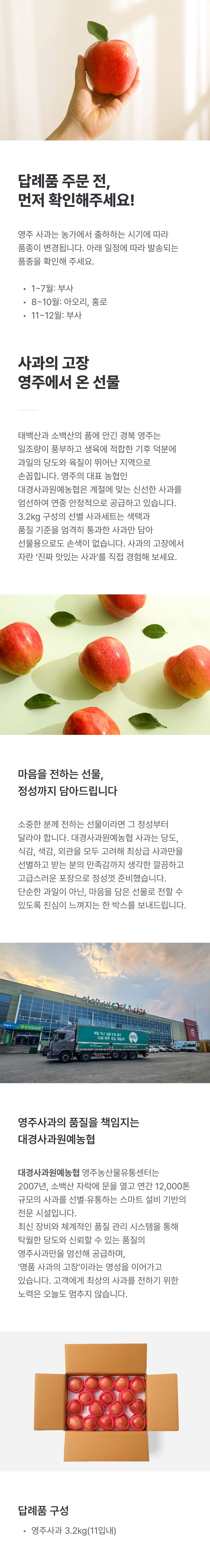 대경사과원예농협 영주사과 3.2kg 선물세트 (11입내)+1kg 추가증정