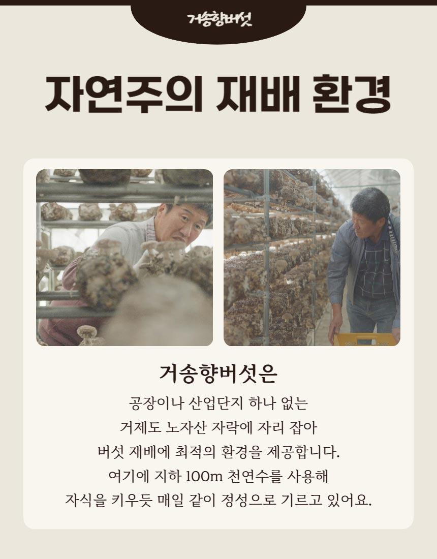 거송향생버섯 보자기포장 1kg - 7