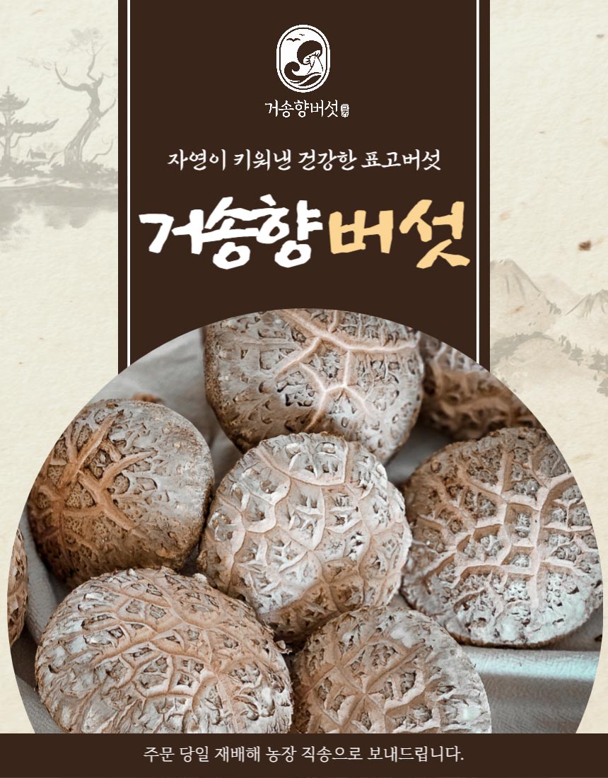 거송향생버섯 보자기포장 1kg - 1