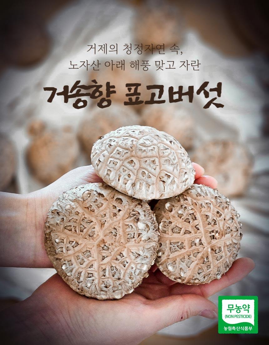거송향생버섯 보자기포장 1kg - 2