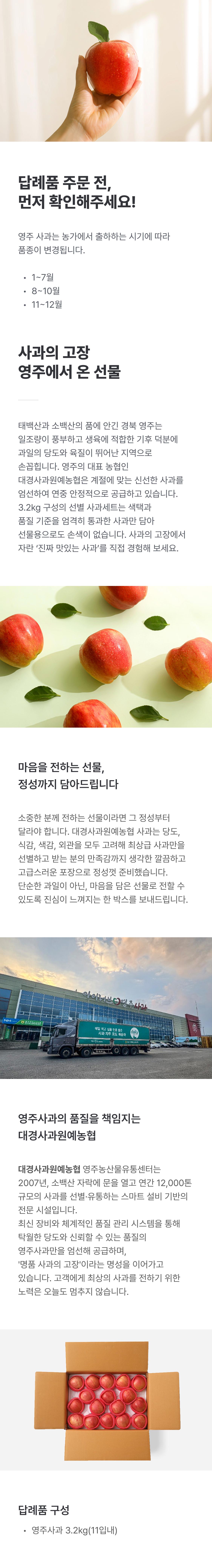 대경사과원예농협 영주사과 3.2kg 선물세트 (11입내)+1kg 추가증정