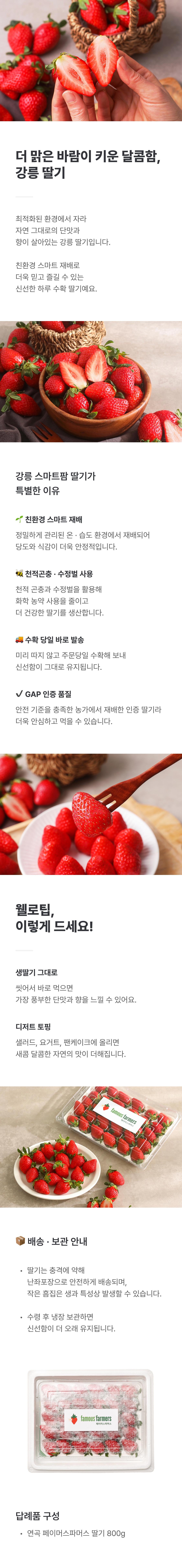 연곡 페이머스파머스 딸기 800g