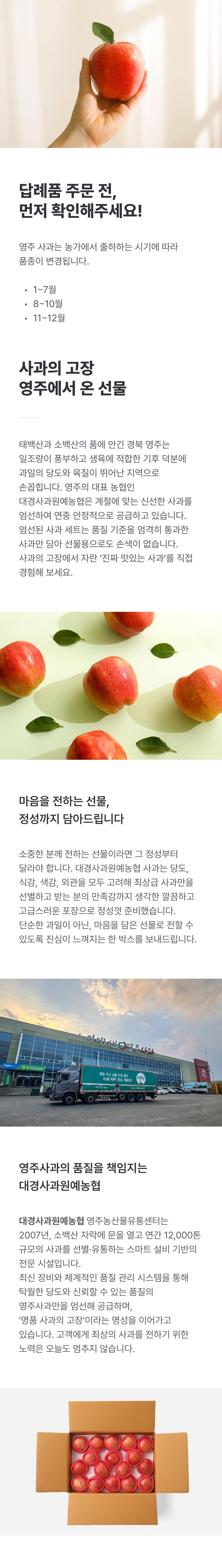 [대경사과원예농협]영주사과 3.2kg 선물세트+1kg 추가 증정