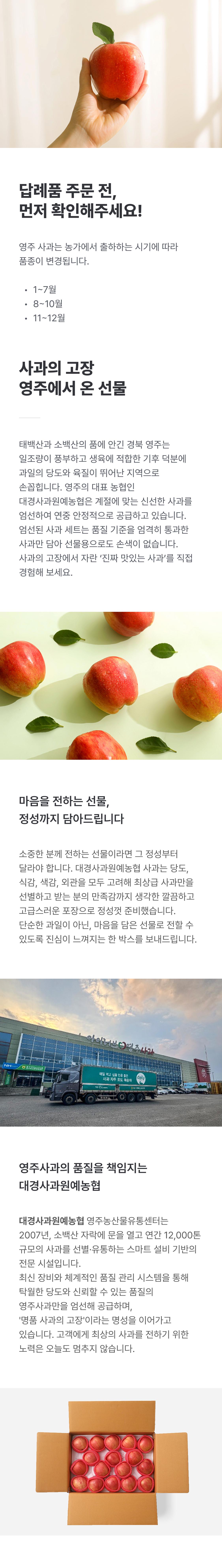 [대경사과원예농협]영주사과 3.2kg 선물세트+1kg 추가 증정