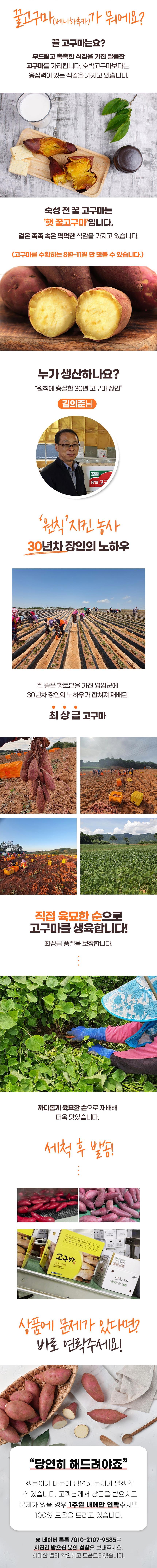 무농약 김의준 꿀고구마 (대 3kg + 대/하 3kg) - 3