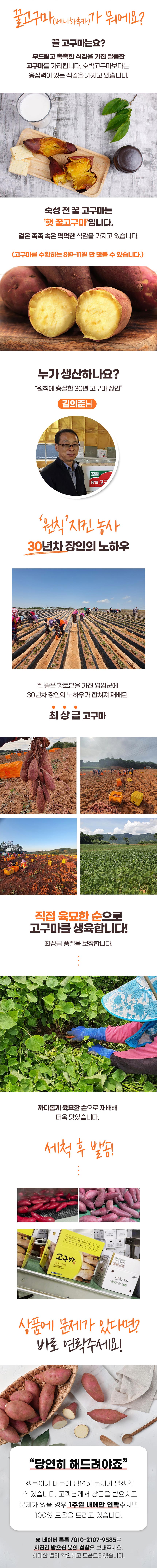 무농약 김의준 꿀고구마 (대 3kg + 대/하 3kg) - 3