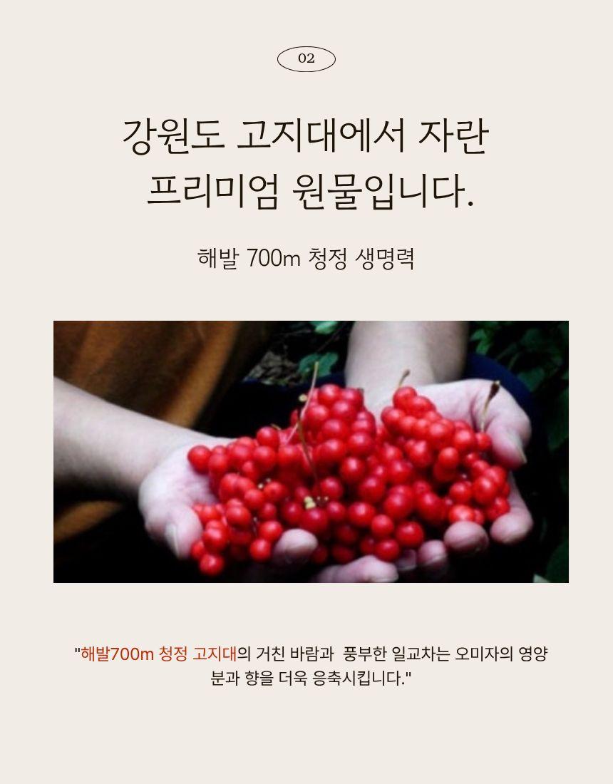 해발 800m 하장 수제 오미자청 세트 상세페이지3