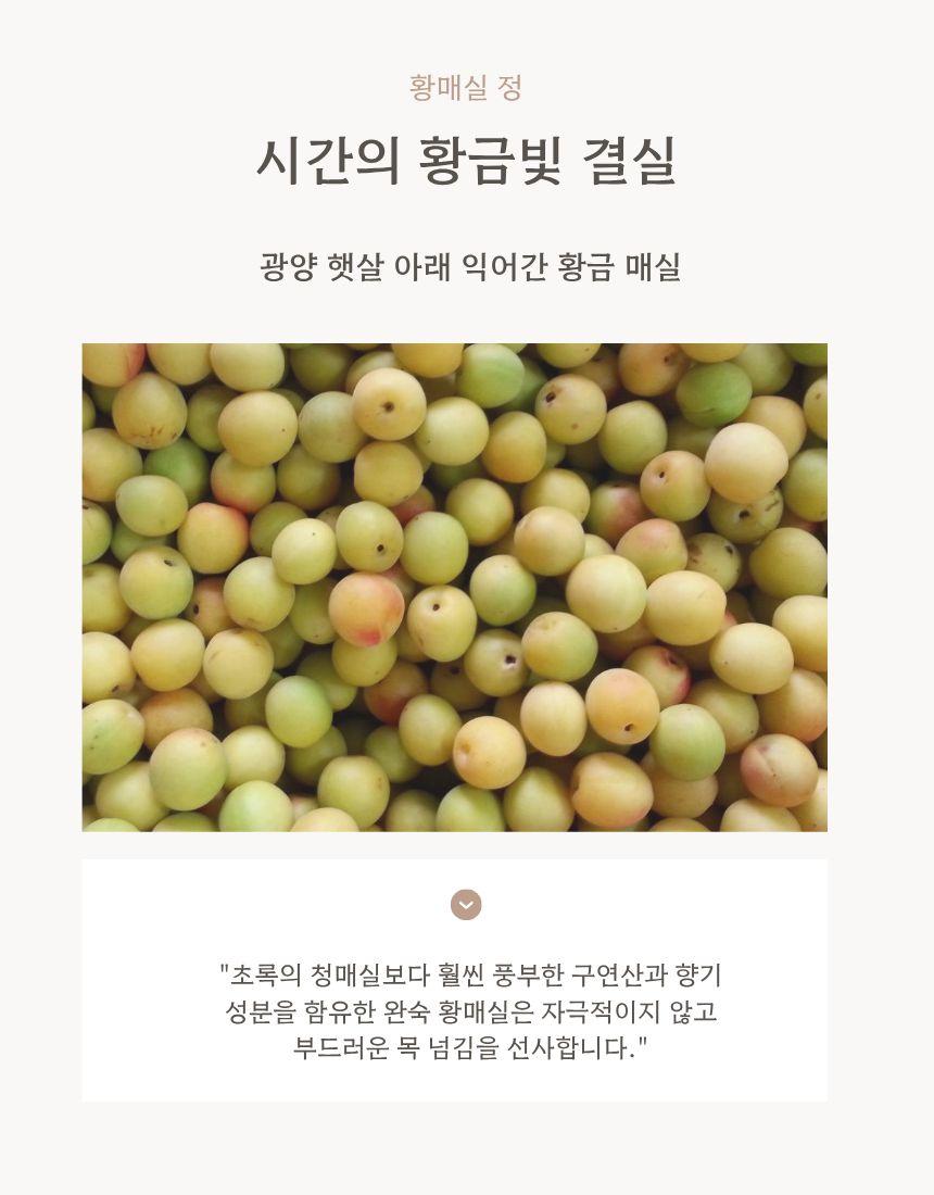 오미자청&황매실청 세트5