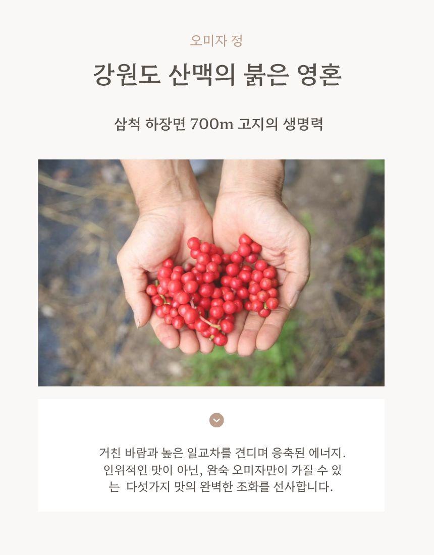 오미자청&황매실청 세트4