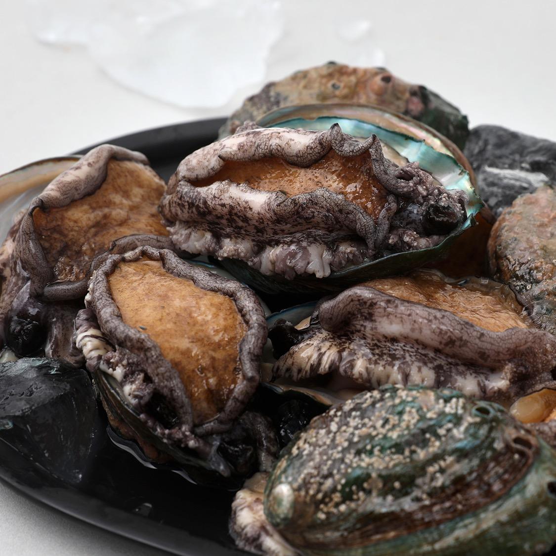 완도 전복 실속 선물세트 (1kg)