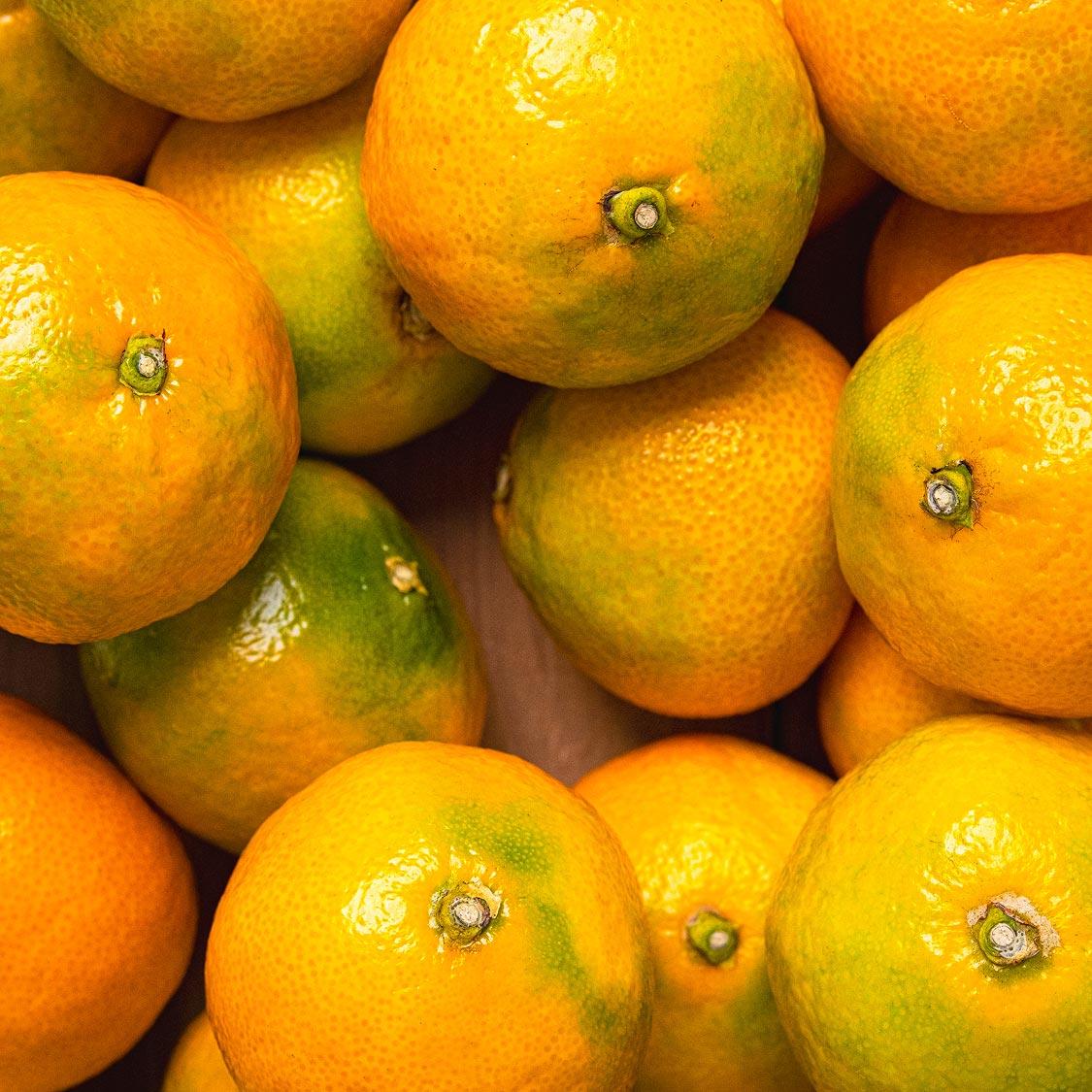 답례품 히어로이미지