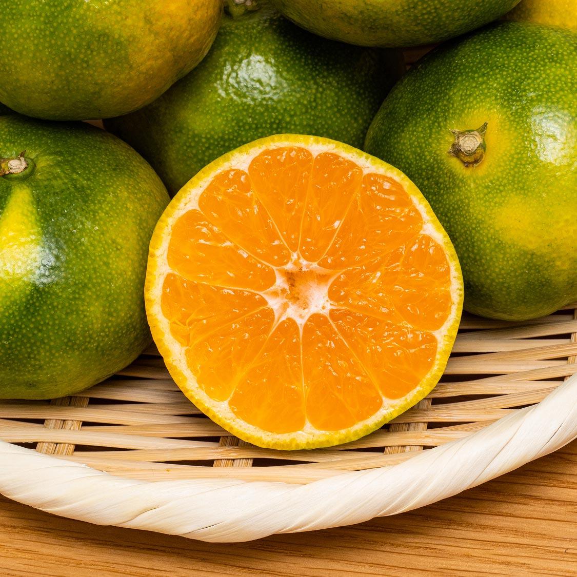 답례품 히어로이미지